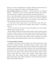 Projektas: vaikų užimtumo ir nusikalstamumo prevencija 2 puslapis