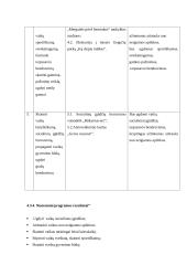 Projektas: vaikų užimtumo ir nusikalstamumo prevencija 4 puslapis