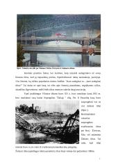 Vilniaus Neries tiltai 7 puslapis