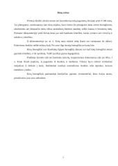 Rašto kilmė, raida 7 puslapis