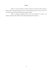 Rašto kilmė, raida 8 puslapis