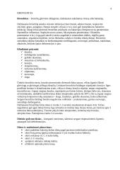 Bronchinė astma ir maitinimas 4 puslapis