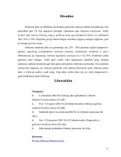 Diabetinės pėdos slauga 11 puslapis