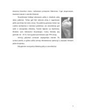 Diabetinės pėdos slauga 5 puslapis