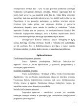 F.M. Dostojevskio "Didžiojo Inkvizitoriaus" legendos prasmė 13 puslapis