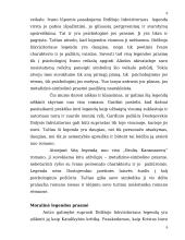 F.M. Dostojevskio "Didžiojo Inkvizitoriaus" legendos prasmė 6 puslapis
