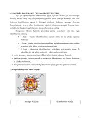 Holograminiai dokumentų apsaugos elementai 11 puslapis