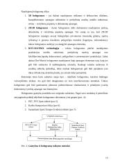Holograminiai dokumentų apsaugos elementai 13 puslapis