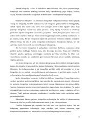 Holograminiai dokumentų apsaugos elementai 16 puslapis