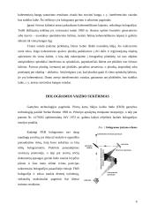 Holograminiai dokumentų apsaugos elementai 6 puslapis