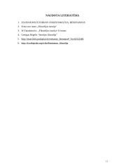 Humanizmo ir reformacijos idėjos renesanso epochoje 13 puslapis