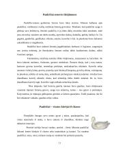 Mitinis gyvūnų ir augalų pasaulis 11 puslapis