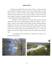 Mitinis gyvūnų ir augalų pasaulis 13 puslapis