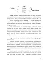 Moksleivio teisių ir pareigų ugdymas sociologiniu-pedagoginiu aspektu Lietuvoje ir Vokietijoje 5 puslapis