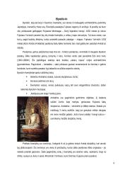 Seniausios Japonijos šventyklos 4 puslapis