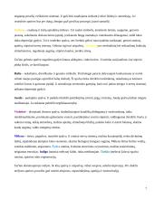 Spalvų terapija 6 puslapis