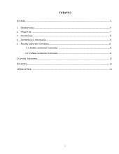 Specialus švarinimas 2 puslapis