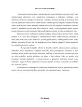 Specialus švarinimas 11 puslapis