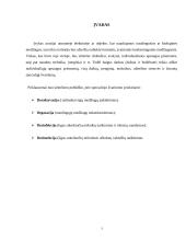 Specialus švarinimas 3 puslapis