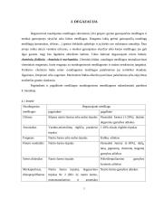 Specialus švarinimas 5 puslapis