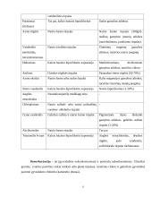 Specialus švarinimas 6 puslapis