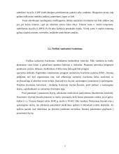 Specialus švarinimas 9 puslapis