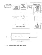Specialus švarinimas 10 puslapis