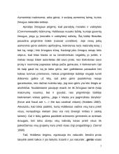 Th. Hobbeso moralės teorija 3 puslapis