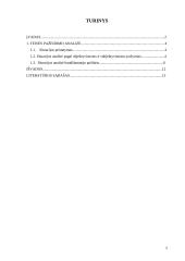 Teisės pažeidimo analizė pagal objektyvius ir subjektyvius požymius 2 puslapis