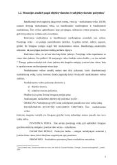 Teisės pažeidimo analizė pagal objektyvius ir subjektyvius požymius 5 puslapis