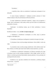 Teisės pažeidimo analizė pagal objektyvius ir subjektyvius požymius 7 puslapis