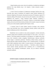 Teisės pažeidimo analizė pagal objektyvius ir subjektyvius požymius 9 puslapis