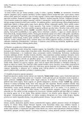 Gyvūnų organai 3 puslapis