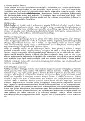 Gyvūnų organai 8 puslapis