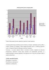 Jaunimo verslumo ir verslininkiškumo skatinimas 2 puslapis