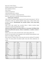 Jaunimo verslumo ir verslininkiškumo skatinimas 3 puslapis