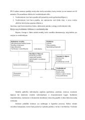 Jaunimo verslumo ir verslininkiškumo skatinimas 4 puslapis