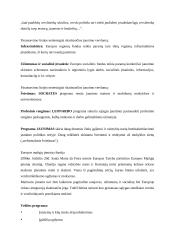 Jaunimo verslumo ir verslininkiškumo skatinimas 9 puslapis