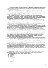 Ląstelės. Audiniai. Organų sistemos 11 puslapis