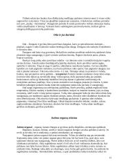 Ląstelės. Audiniai. Organų sistemos 12 puslapis