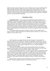 Ląstelės. Audiniai. Organų sistemos 13 puslapis