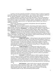 Ląstelės. Audiniai. Organų sistemos 3 puslapis