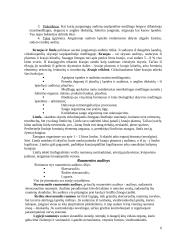 Ląstelės. Audiniai. Organų sistemos 6 puslapis