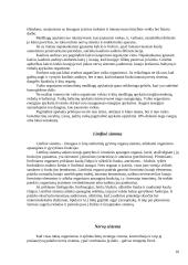 Ląstelės. Audiniai. Organų sistemos 10 puslapis