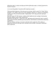 Saugaus ir sveiko darbo organizavimas 3 puslapis