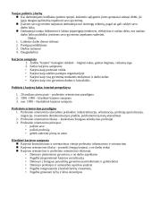 Lyčių sociologija 6 puslapis