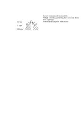 Vadybos kategorijos 16 puslapis