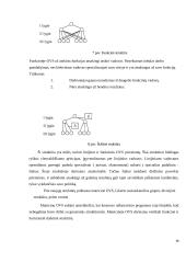 Vadybos kategorijos 18 puslapis