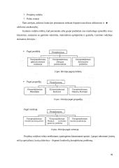Vadybos kategorijos 20 puslapis