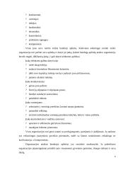 Vadybos kategorijos 5 puslapis